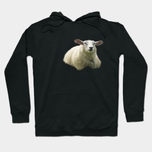 sweet sheep Hoodie